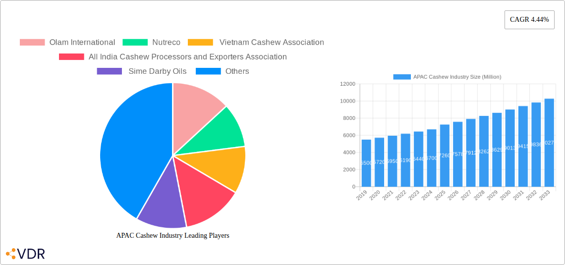 APAC Cashew Industry Research Report - Market Overview and Key Insights