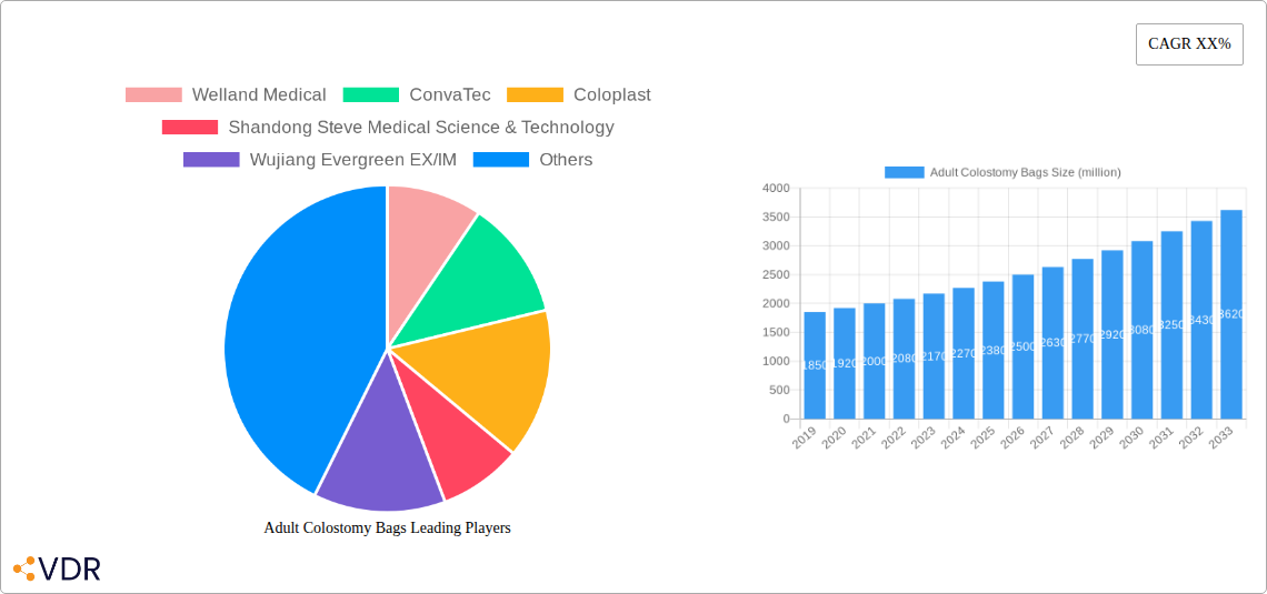 Adult Colostomy Bags Research Report - Market Overview and Key Insights