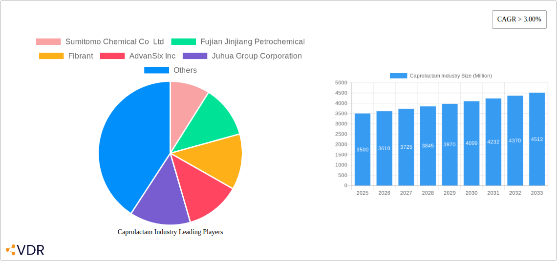 Caprolactam Industry Research Report - Market Overview and Key Insights