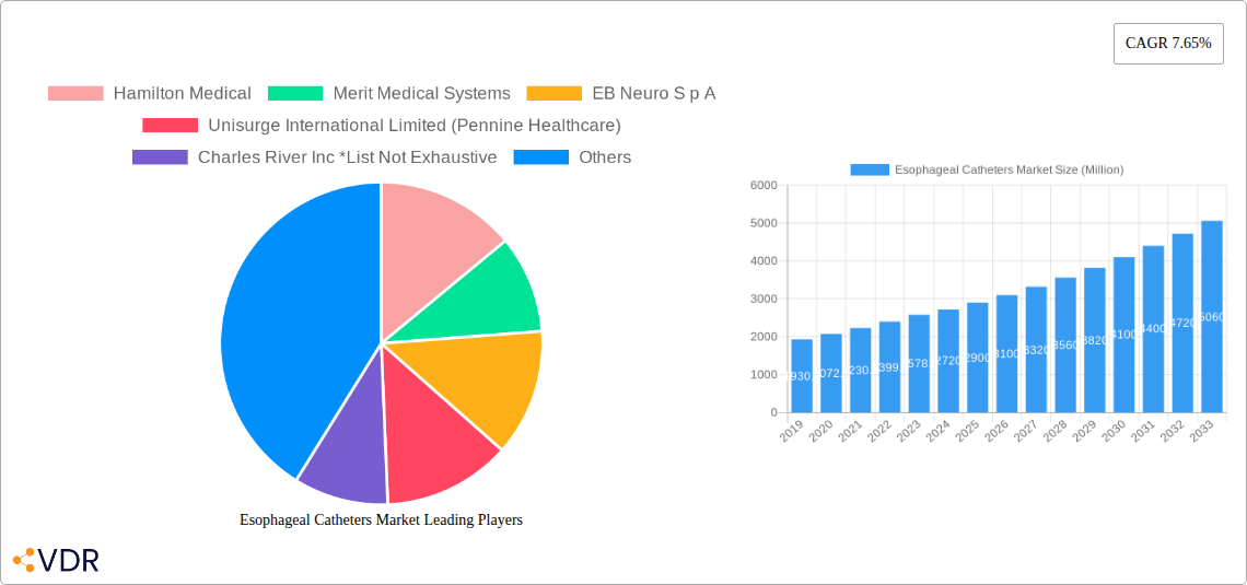 Esophageal Catheters Market Research Report - Market Overview and Key Insights