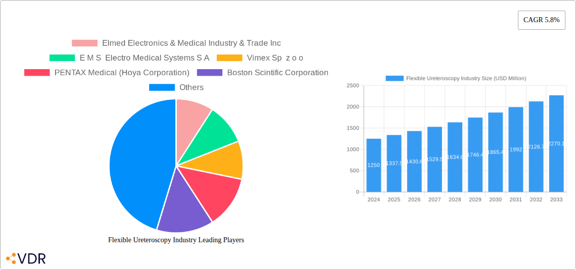 Flexible Ureteroscopy Industry Research Report - Market Overview and Key Insights