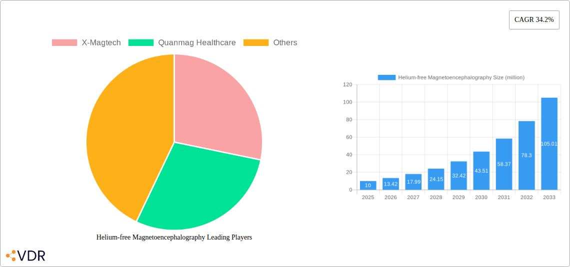 Helium-free Magnetoencephalography Research Report - Market Overview and Key Insights