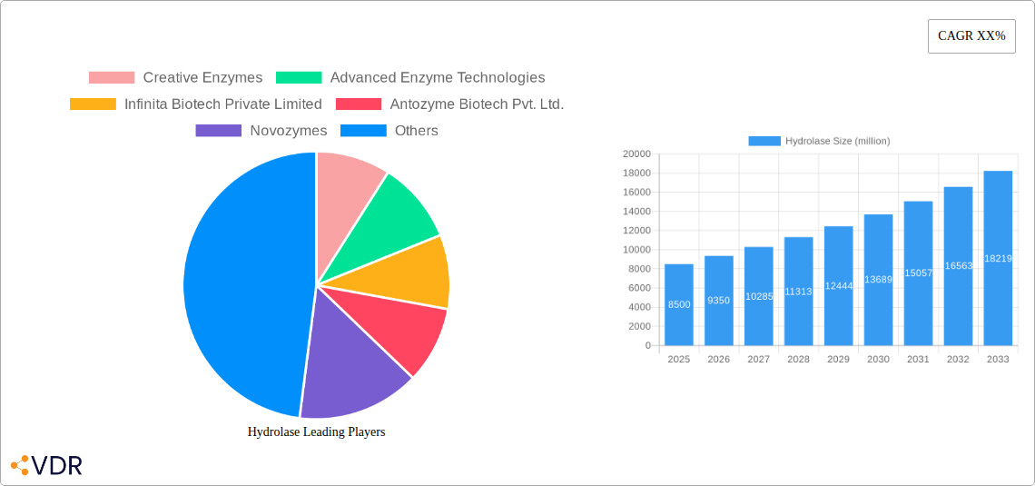 Hydrolase Research Report - Market Overview and Key Insights