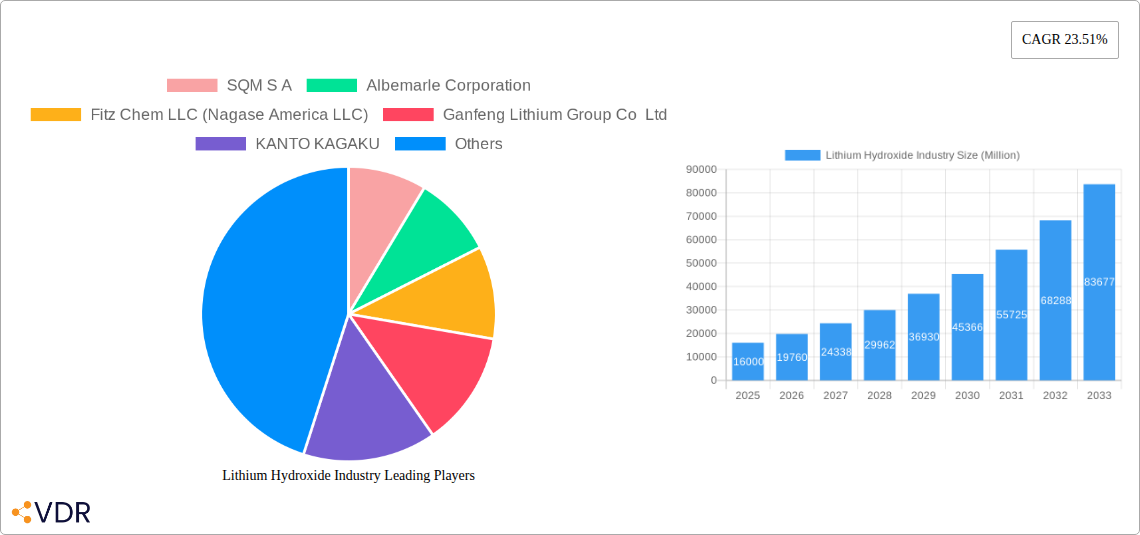 Lithium Hydroxide Industry Research Report - Market Overview and Key Insights