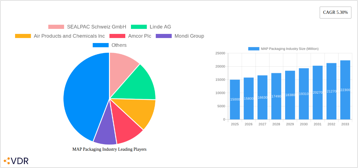 MAP Packaging Industry Research Report - Market Overview and Key Insights