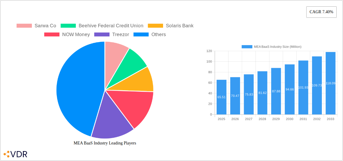 MEA BaaS Industry Research Report - Market Overview and Key Insights