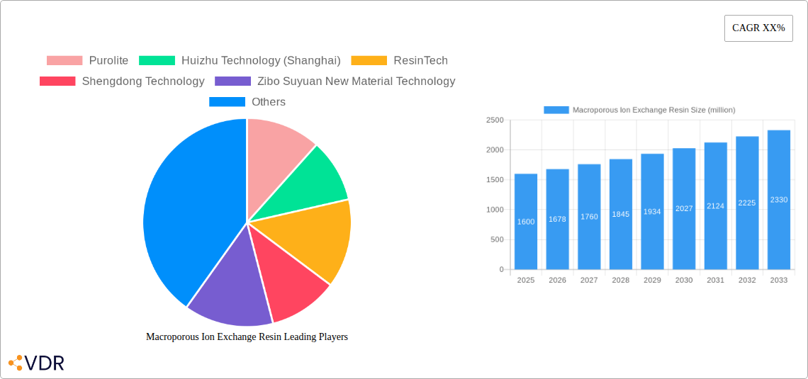 Macroporous Ion Exchange Resin Research Report - Market Overview and Key Insights