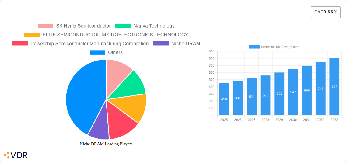Niche DRAM Research Report - Market Overview and Key Insights
