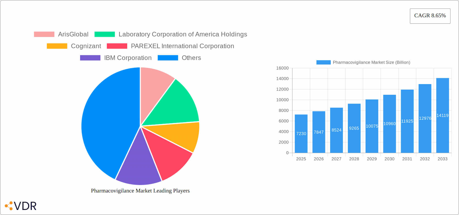 Pharmacovigilance Market Research Report - Market Overview and Key Insights