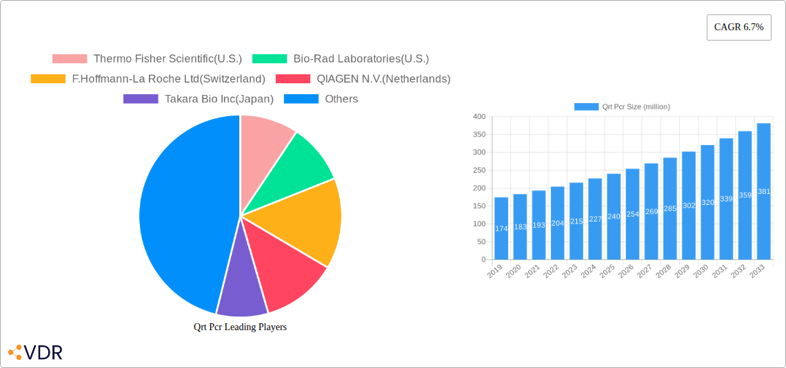 Qrt Pcr Research Report - Market Overview and Key Insights
