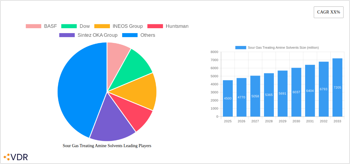Sour Gas Treating Amine Solvents Research Report - Market Overview and Key Insights