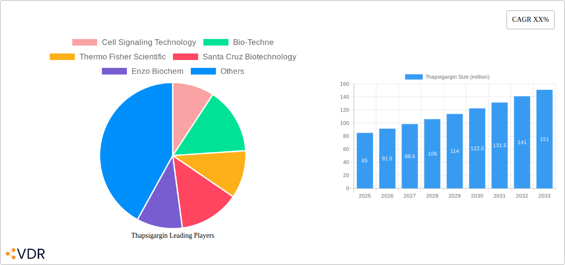 Thapsigargin Research Report - Market Overview and Key Insights