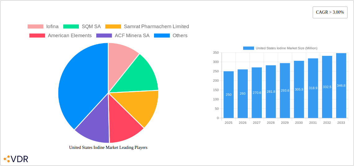 United States Iodine Market Research Report - Market Overview and Key Insights