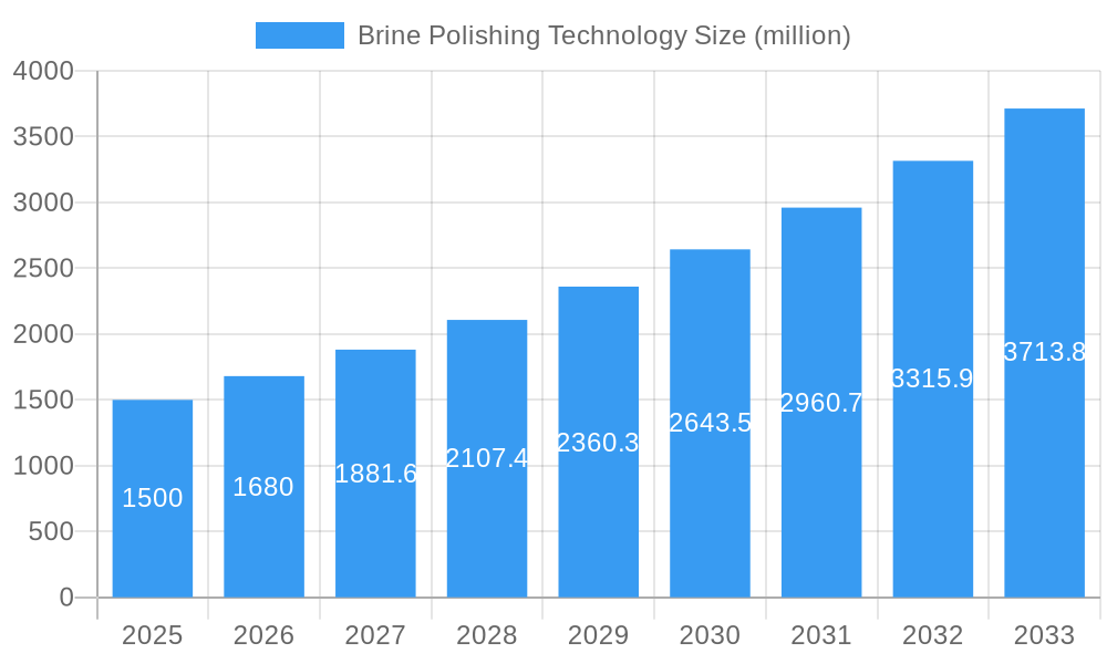 Brine Polishing Technology Market Size and Forecast (2024-2030)