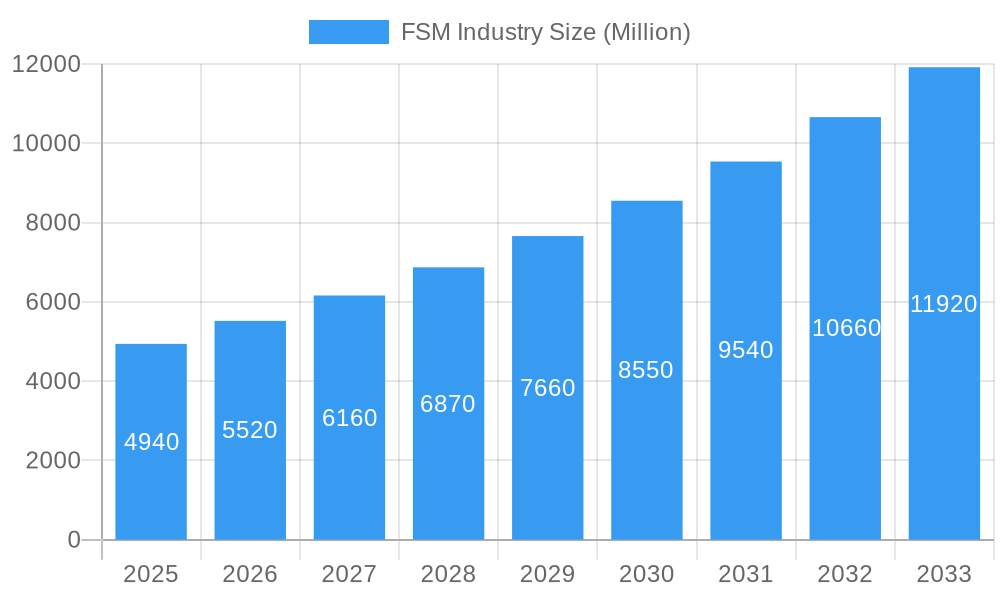 FSM Industry Market Size and Forecast (2024-2030)