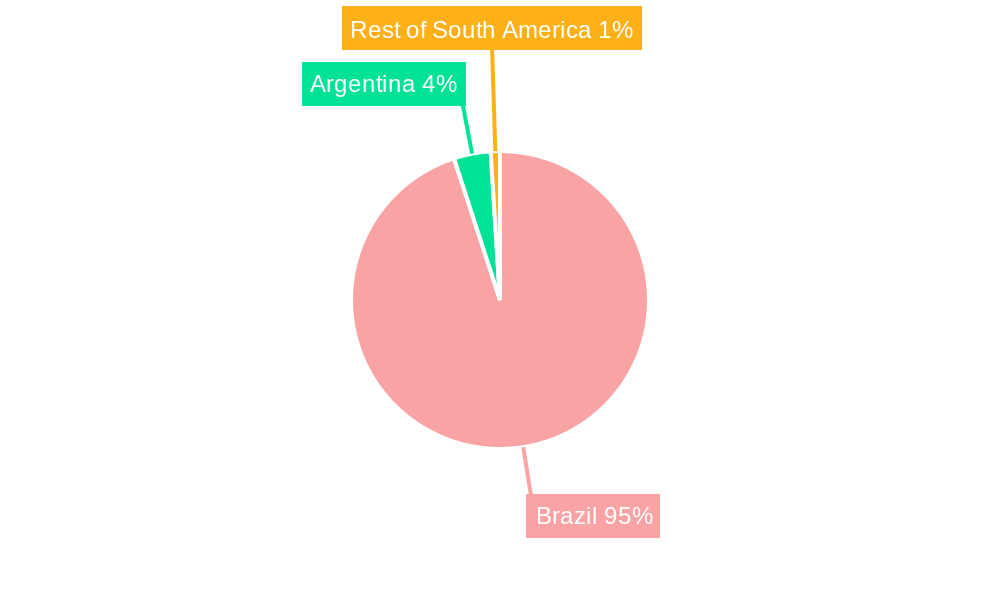 Brazil Jewelry Market Market Share by Region - Global Geographic Distribution