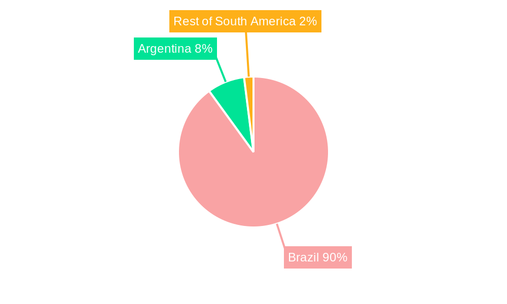 Brazil Maize Market Market Share by Region - Global Geographic Distribution