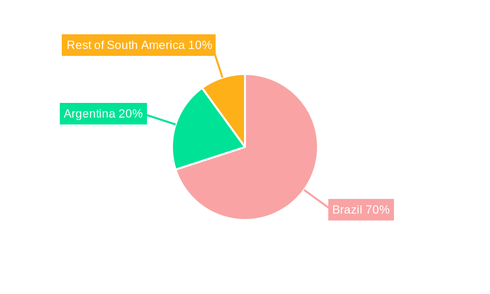 Brazilian Rice Market Market Share by Region - Global Geographic Distribution