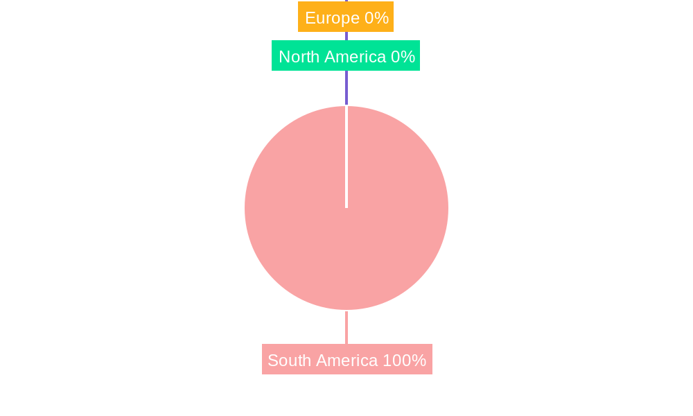 South America Carbon Black Industry Market Share by Region - Global Geographic Distribution