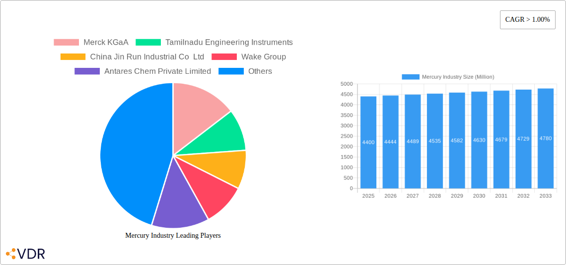 Mercury Industry Research Report - Market Overview and Key Insights