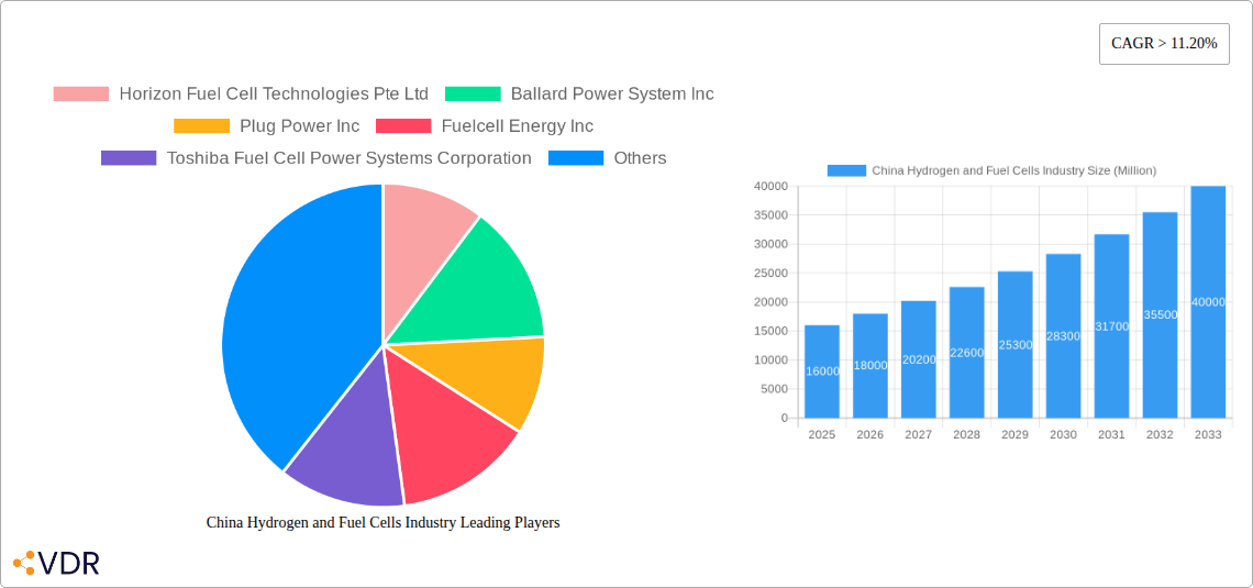 China Hydrogen and Fuel Cells Industry Research Report - Market Overview and Key Insights