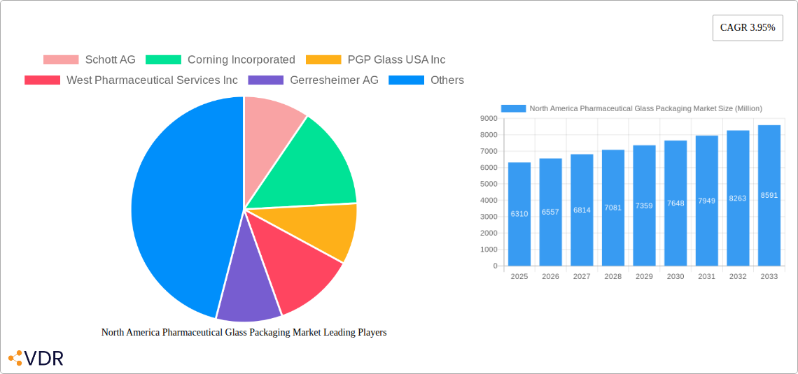 North America Pharmaceutical Glass Packaging Market Research Report - Market Overview and Key Insights
