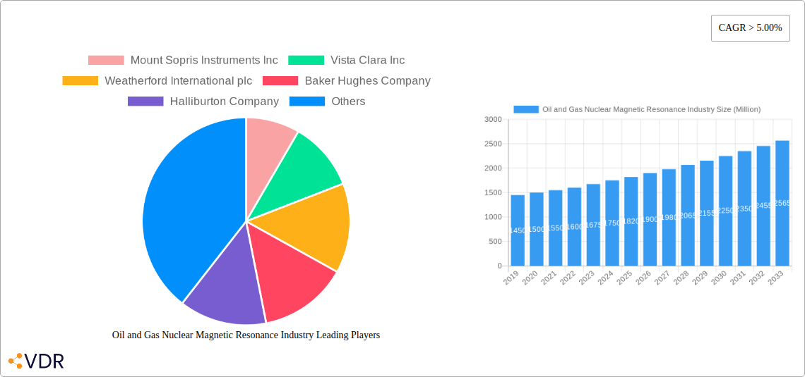 Oil and Gas Nuclear Magnetic Resonance Industry Research Report - Market Overview and Key Insights