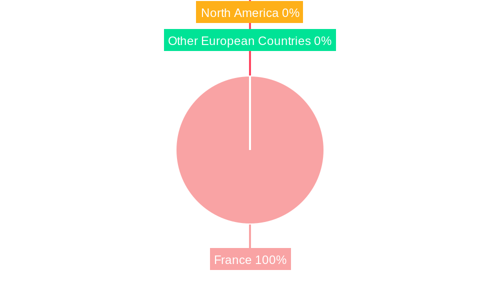 France Light Commercial Vehicles Market Market Share by Region - Global Geographic Distribution