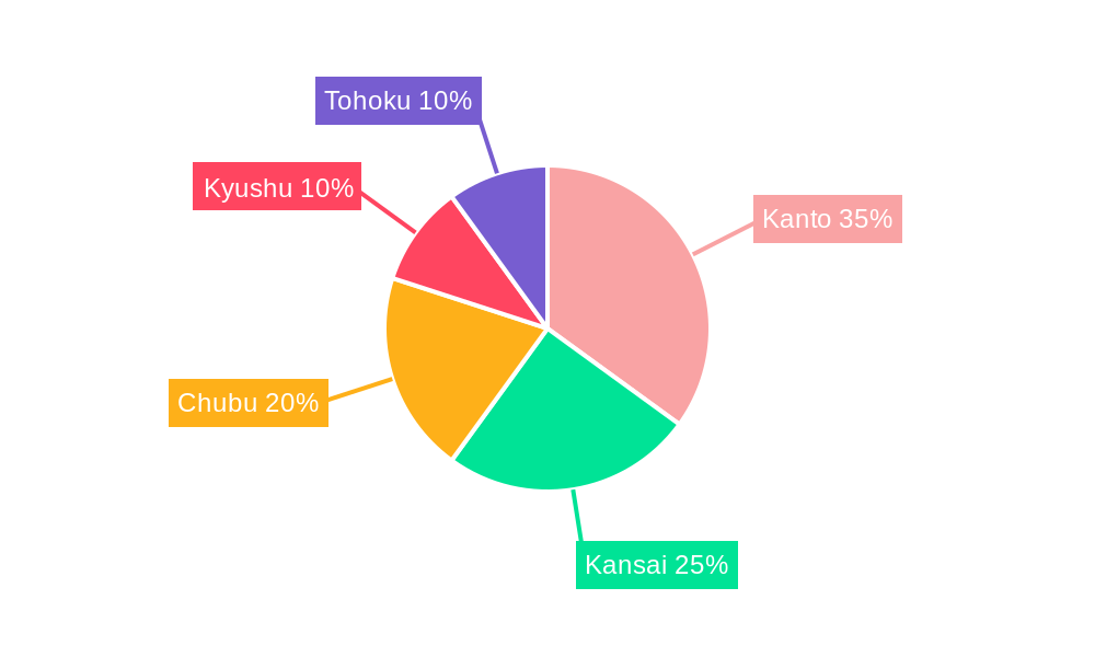 Japan EV Charging Infrastructure Market Market Share by Region - Global Geographic Distribution