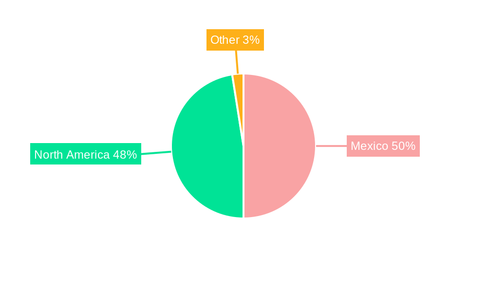 Mexico Automotive Parts Aluminum Die Casting Market Market Share by Region - Global Geographic Distribution