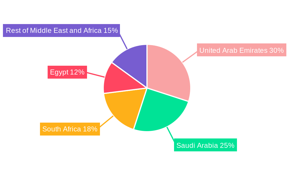Middle East And Africa Lithium-ion Battery For Electric Vehicle Market Market Share by Region - Global Geographic Distribution