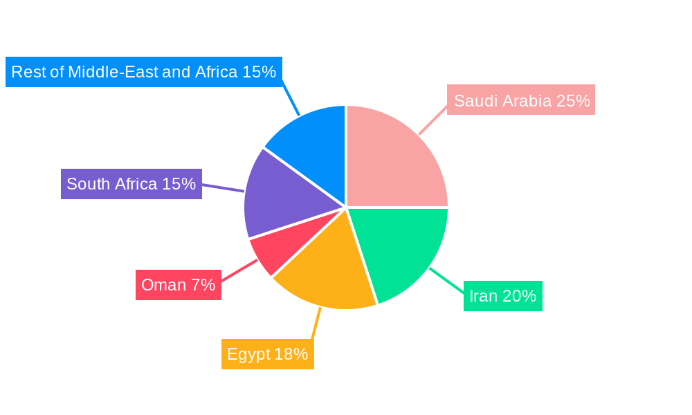 Middle East and Africa Blood Glucose Monitoring Market Market Share by Region - Global Geographic Distribution