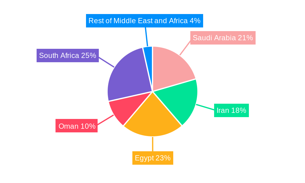 Middle East and Africa Continuous Glucose Monitoring Market Market Share by Region - Global Geographic Distribution