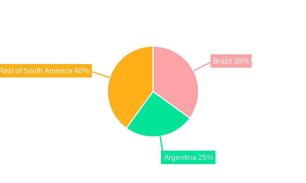 South America Ovarian Cancer Diagnostics and Therapeutics Market Market Share by Region - Global Geographic Distribution