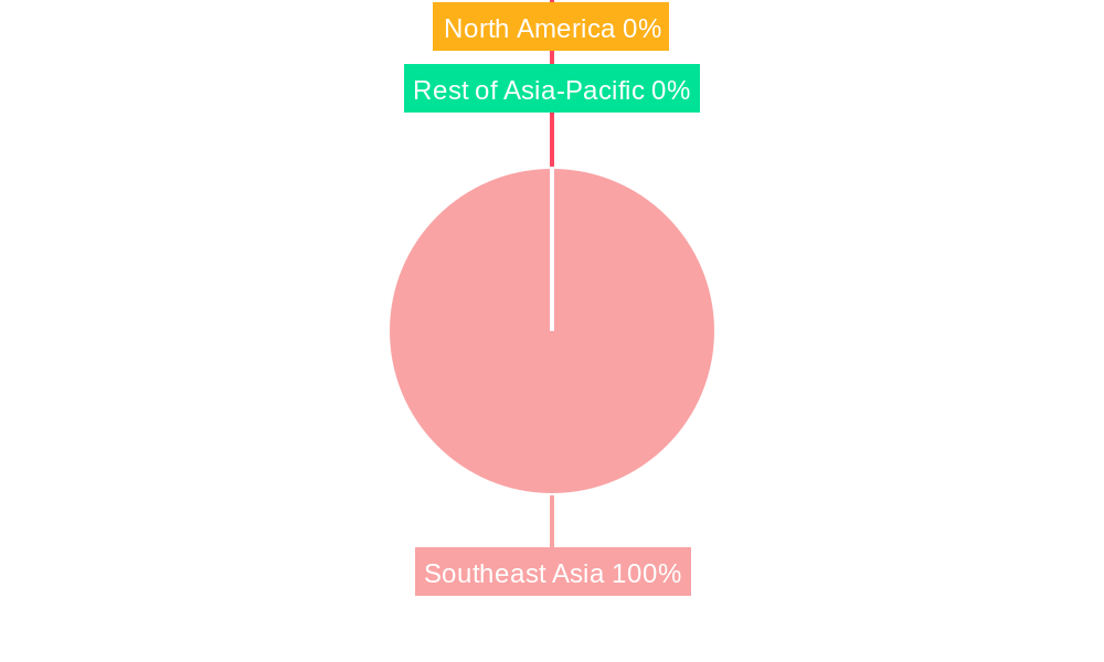 Southeast Asia Commercial Aircraft MRO Market Market Share by Region - Global Geographic Distribution