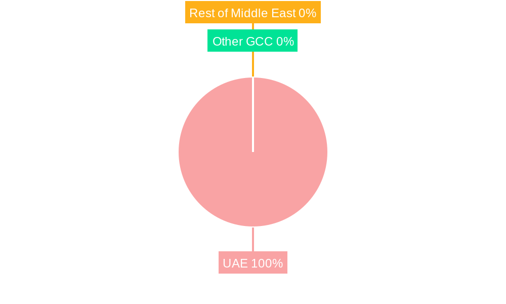 UAE Property & Casualty Insurance Industry Market Share by Region - Global Geographic Distribution