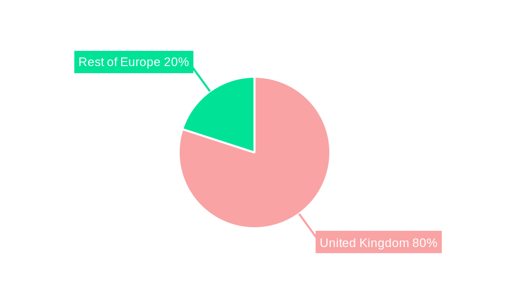 United Kingdom Non-Resilient Floor Covering Market Market Share by Region - Global Geographic Distribution