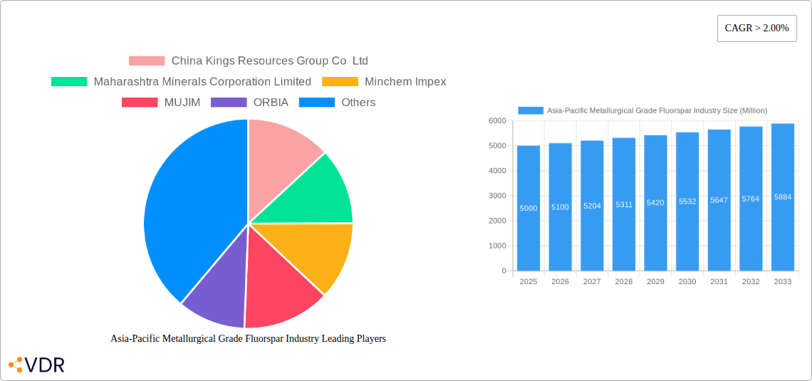 Asia-Pacific Metallurgical Grade Fluorspar Industry Research Report - Market Overview and Key Insights