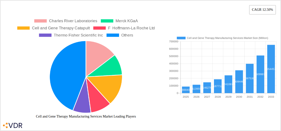 Cell and Gene Therapy Manufacturing Services Market Research Report - Market Overview and Key Insights