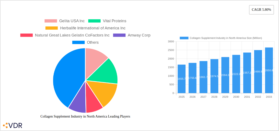Collagen Supplement Industry in North America Research Report - Market Overview and Key Insights