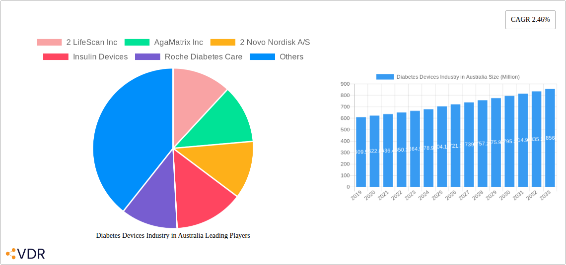 Diabetes Devices Industry in Australia Research Report - Market Overview and Key Insights