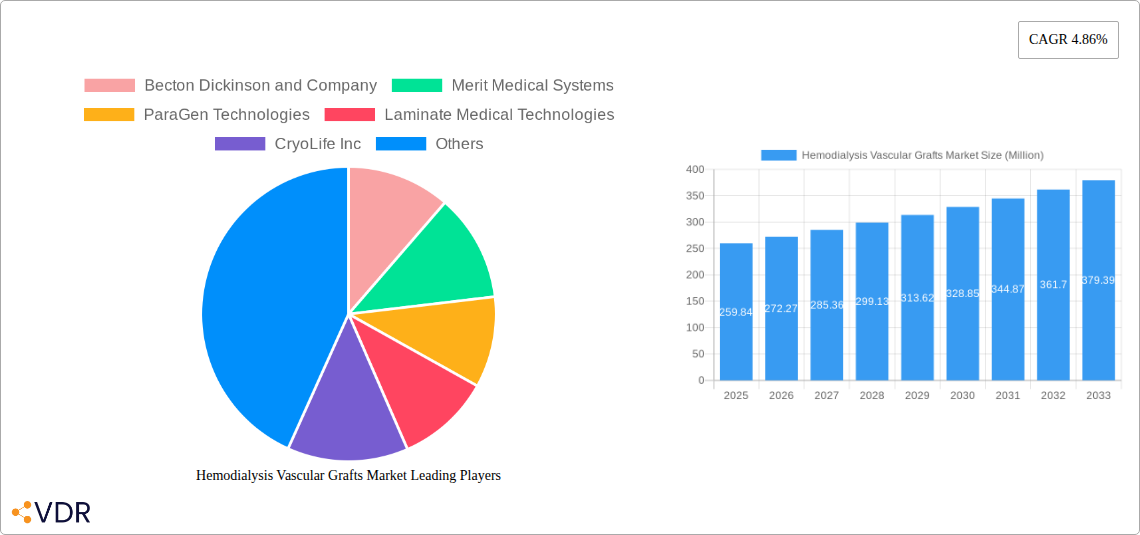 Hemodialysis Vascular Grafts Market Research Report - Market Overview and Key Insights