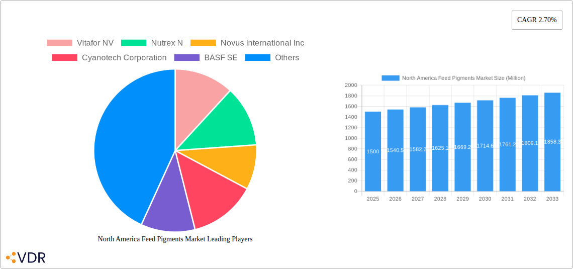 North America Feed Pigments Market Research Report - Market Overview and Key Insights