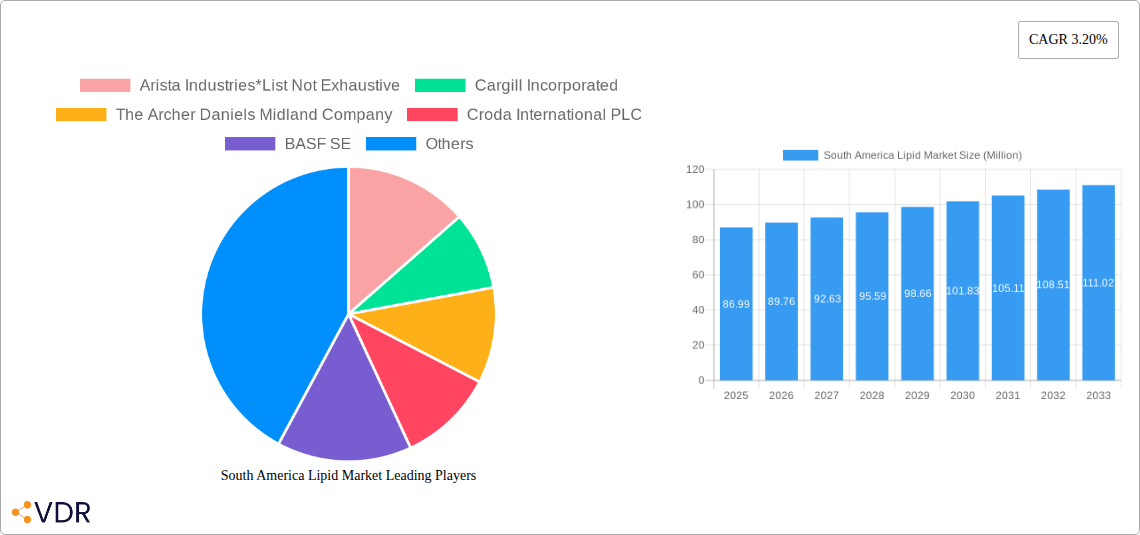 South America Lipid Market Research Report - Market Overview and Key Insights