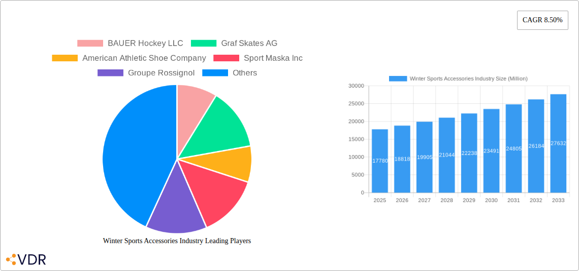 Winter Sports Accessories Industry Research Report - Market Overview and Key Insights