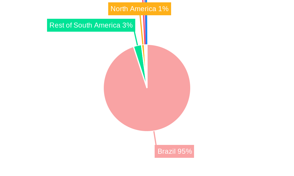 Brazil Oil and Gas Upstream Industry Market Share by Region - Global Geographic Distribution