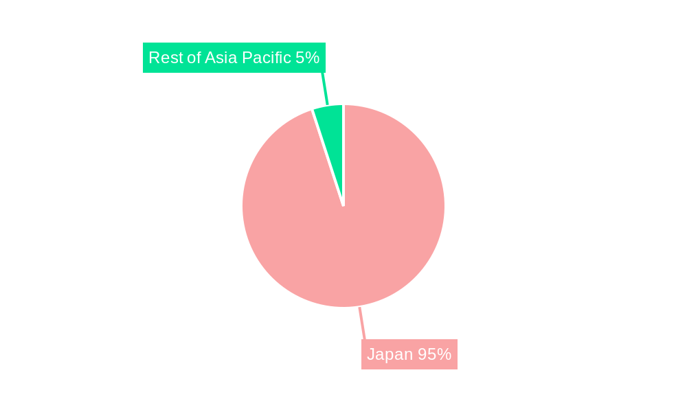 Japan Nuclear Power Reactor Decommissioning Market Market Share by Region - Global Geographic Distribution