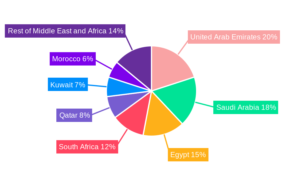 Middle East and Africa Aerosol Disinfectants Market Market Share by Region - Global Geographic Distribution