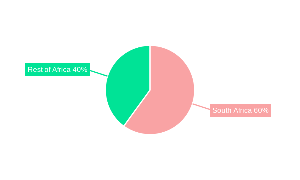 South Africa Protective Packaging Market Market Share by Region - Global Geographic Distribution
