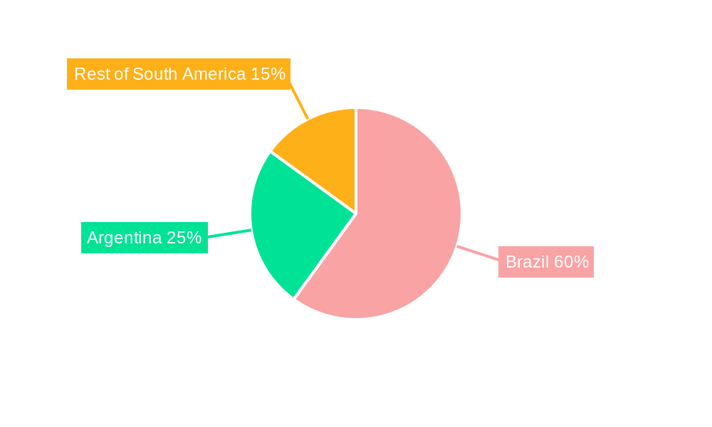 South America Construction Chemicals Market Market Share by Region - Global Geographic Distribution